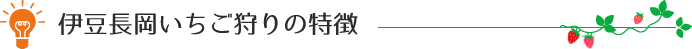 伊豆長岡いちご狩りの特徴