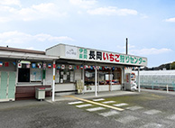 いちご狩りの流れ