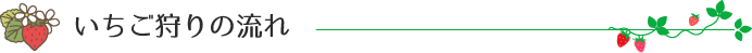 いちご狩りの流れ