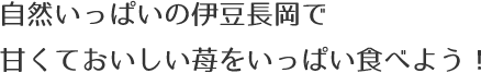 自然いっぱいの伊豆長岡で甘くておいしい苺をいっぱい食べよう